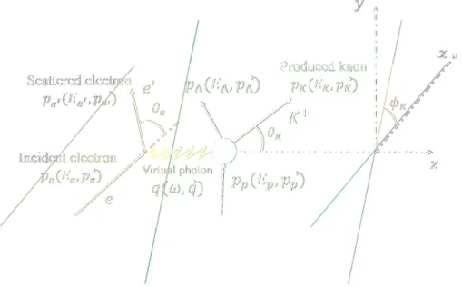 図 1.15: (e, e ′ K + ) 反応の概念図：ｘ 軸方向に照射された電子線は標的内の陽子と仮想光子を 介して反応し、 Λ, K + が生成される。