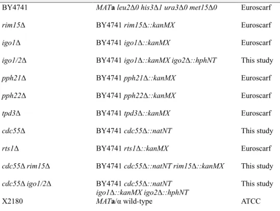 TABLE 1 Yeast strains used in this study. 