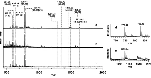 Fig. 1. ESI-MS spectra of the peptide fragments obtained by the digestion of horse cyt c  with lysyl endopeptidase after the reaction of its ferric form with mCPBA in the presence  of DOPC liposomes (a) with and (b) without CL or (c) in the presence of CL 