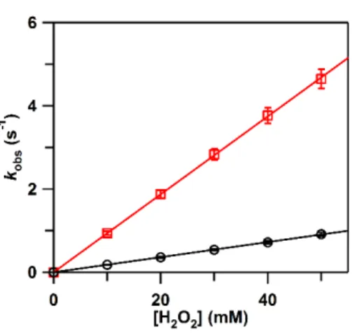 Fig. 4. Dependence of peroxidase reaction (ABTS oxidation) rates on [H 2 O 2 ] for ferric  Met80-modified  (squares,  red)  and  unmodified  cyt  c  (circles,  black)