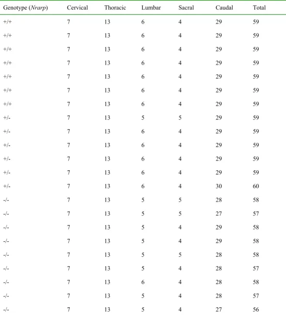 Table 1. X-ray analyses of adult mice vertebrae.   