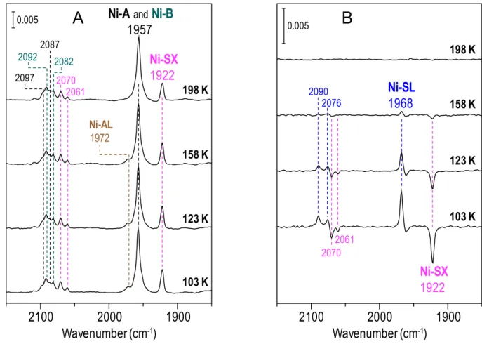 Fig. S5  FT-IR spectra of as-isolated DvMF [NiFe] hydrogenase before light irradiation and their  light-minus-after difference spectra at different temperatures (103, 123, 158, and 198 K) under N 2