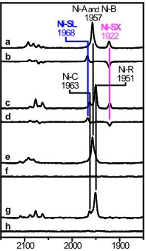 Fig. 5 FT-IR spectra of DvMF [NiFe] hydrogenase under N 2  atmosphere at pH  8.0 and 103 K: (a,c,e,g)  Spectra before light irradiation and (b,d,f,h)  light-minus-after difference spectra