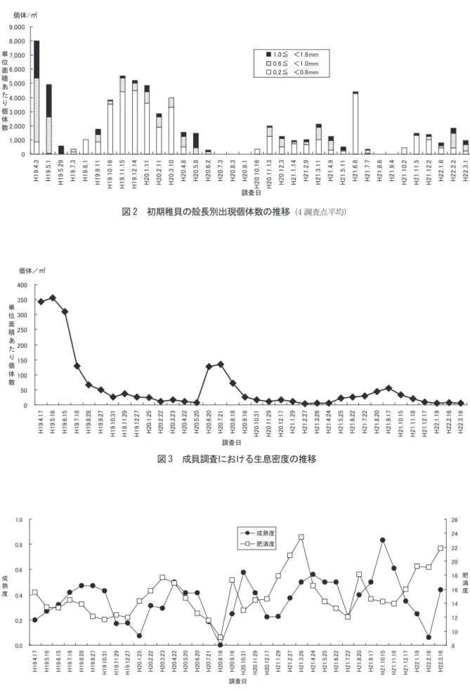 図 2 初期稚貝の殻長別出現個体数の推移 （4 調査点平均） 図 3 成貝調査における生息密度の推移 図 4 成貝調査における成熟度と肥満度の推移0.00.20.40.60.81.0H19.4.17H19.5.16H19.6.15H19.7.18H19.8.28H19.9.27H19.10.31H19.11.29H19.12.27H20.1.25H20.2.22H20.3.23H20.4.22H20.5.20H20.6.20H20.7.21H20.8.18H20.9.16H20.10.31H20.11.29