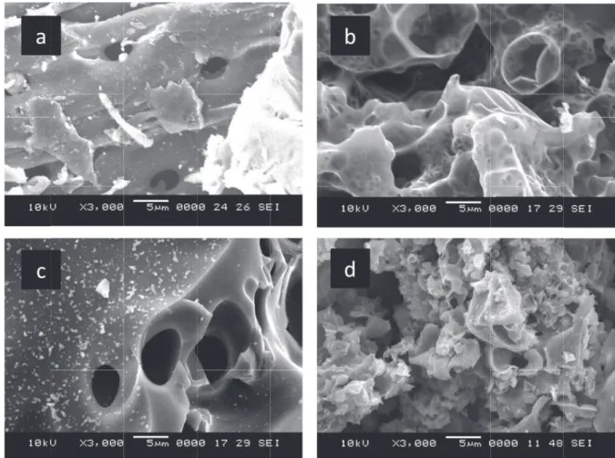 Fig. 3.  SEM images of the char samples obtained from sugi. (a) holocellulose; (b) holocellulose impregnated with K 2 CO 3 ;  (c) dioxane-lignin; (d) dioxane-lignin impregnated with K 2 CO 3 .