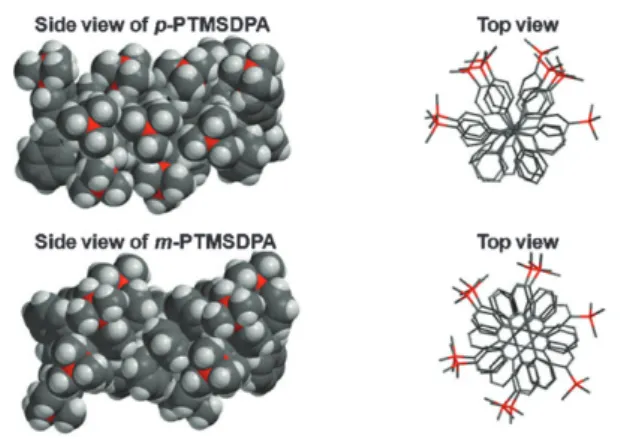Fig. 2 shows the side and top views of 10-mer model compounds of p- and m-PTMSDPA polymers