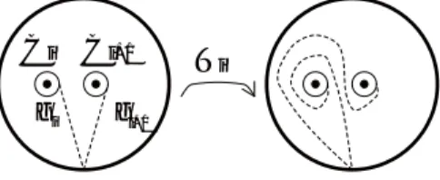 Figure 3. Maps g i and T i