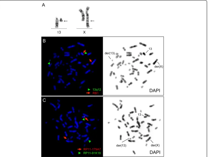 Fig. 1 G-banding and FISH analyses of the study patient. (a) A G-banded partial karyotype