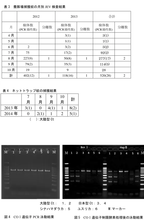 表 3  養豚場捕獲蚊の月別 JEV 検査結果  2012  2013  合計  月  検体数  ( PCR 陽性数) 分離数  検体数 ( PCR陽性数) 分離数  検体数 ( PCR陽性数) 分離数  4 月  3(1)      3(1)  5 月  1(1)      1(1)  6 月  2  3(2)      5(2)  7 月  75  17(2)    92(2)  8 月  227(9)  1  50(8)  1    277(17)  2  9 月  79(2)  35(3)    1