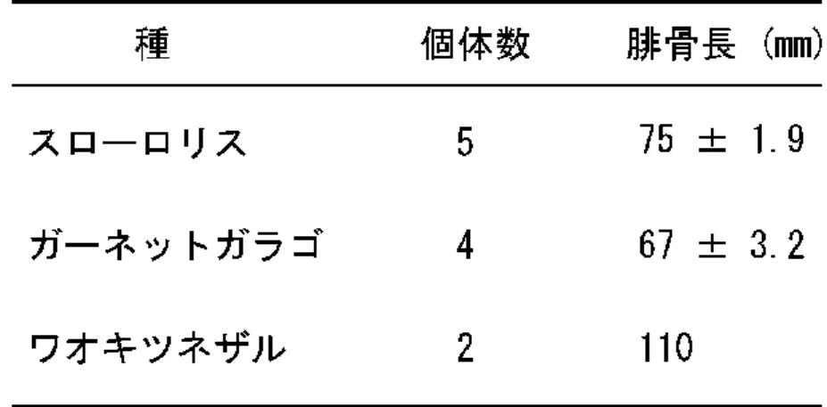表 2.1  霊 長 類 種 と 個 体 数 、 腓 骨 長