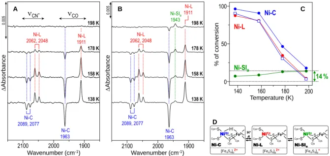 Fig. 2    Difference FT-IR spectra of H 2 -activated [NiFe] hydrogenase from  DvMF between the spectra with and  without  light  irradiation  under  (A)  H 2   and  (B)  N 2   atmosphere  at  138,  158,  178,  and  198  K