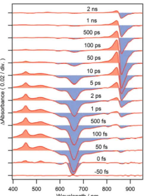 Fig. 3. LH2-Alexa 結合体の TA スペクト ル（励起波長：650 nm） 。 