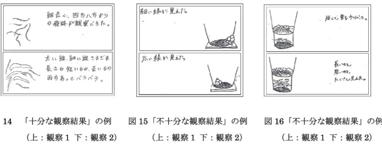 図 14  「十分な観察結果」の例    図 15「不十分な観察結果」の例    図 16「不十分な観察結果」の例      （上：観察 1  下：観察 2）      （上：観察 1  下：観察 2）      （上：観察 1  下：観察 2）  図 15 に示した記述は，観察 1 ではβ線，観察 2 ではα線のみを表していると考えられる。観察 2 においてβ 線の記述がないため， 「不十分な観察結果」に分類した。また，図 16 のように飛跡の太さや数に着目した記述も， 「不十分な観察結果」に分類した。そ