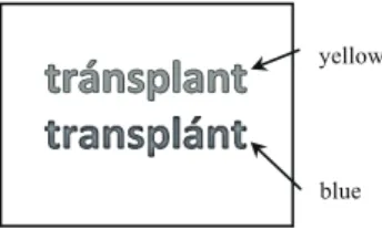 Figure 5. A sample of visual presentation on the computer monitor
