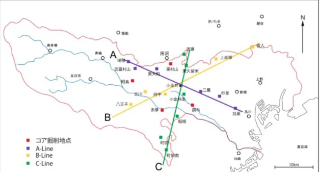 図 3 ． 3 本のライン上のボーリングコアで示される柱状図の位置． 3-1-1 ． A ライン（西北西－東南東）について A ラインは西から東へ瑞穂試錐，武蔵村山試錐，東大和試錐，小金井試錐，三鷹試錐，杉並試 錐，目黒試錐からなる（図 4 ） ．各地点の掘削地点の標高，各地点の観測井の水平距離を考慮して 層序を対比した．瑞穂試錐と武蔵村山試錐では，下位より，基盤岩，基盤岩を不整合で覆う飯能 層，飯能層を不整合で覆う東久留米層，東久留米層を不整合で覆う寺田層，大矢部層，平山層， 小山田層，に区分される．東大
