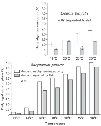 Fig. 1.  　 Daily feeding rate of  Kyphosus bigibbus in relation  to water temperature for two different type macroalgae  Eisenia bicyclis (top) and  Sargassum patens (bottom)