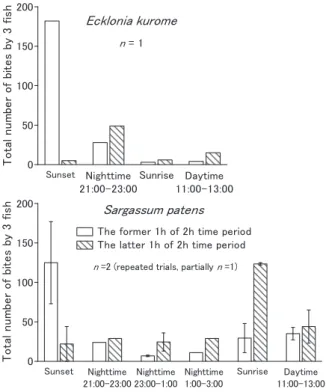 Fig. 3.  　 Comparison of feeding intensity of Kyphosus bigibbus  between four different diel periods (sunset, nighttime,  sunrise, and daytime)