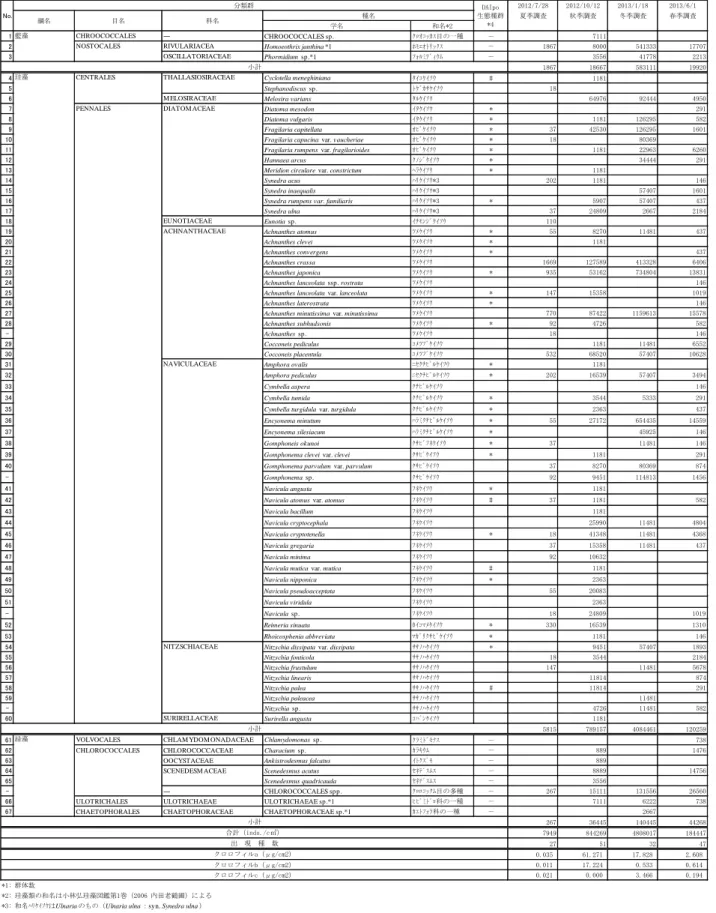 表 10-13-11(6)  T-6 付着藻類結果