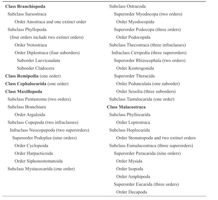 Table 1.　Classification of subphylum Crustacea（modified after Ohtsuka and Komai 2） ）