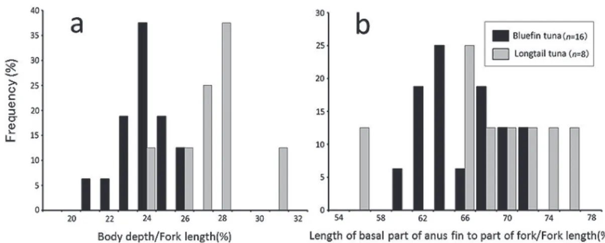 Fig. 5.　 （a）Frequency distribution of body depth/fork length 　　　　Black bars: bluefin tuna; Gray bars: longtail tuna.