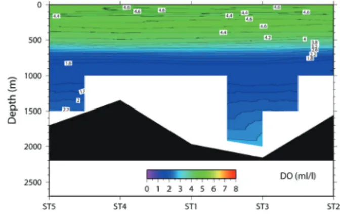 Fig. 4.  Vertical profile of salinity for each station （ CTD ） Fig. 5.   Vertical profile of dissolved oxygen for each station
