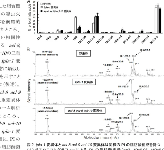 図 2. ipla-1 変異体と acl-8 acl-9 acl-10 変異体は同様の PI の脂肪酸組成を持つ 