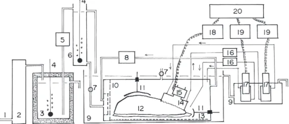 Fig. 2.　The typical records of the oxygen partial pressures in the water inhaled into the mantle cavity （P I , o 2 ）  and exhaled from the respiratory pores （P E , o 2 ), and the ventilation volume （Vg） in the abalone.