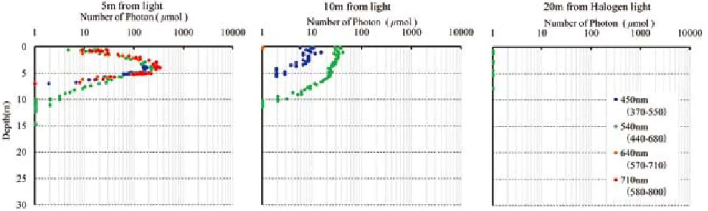 Fig. 3.　Vertical spectral photon distribution at distances of ５, 10 and 20 m in the lateral direction from the halogen lamp.