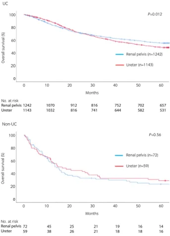 Table 3 Results of the univariate and multivariate analyses for the OS of the UC and non-UC patients