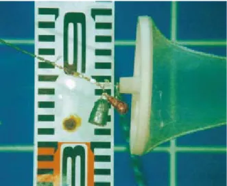 Fig. 5.　Weights which are attached to the cone net （in 