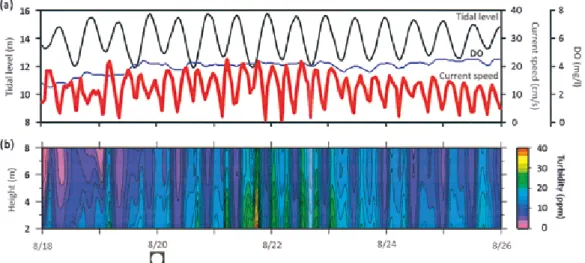 Fig. 3.　Same variations as Fig. ２ in the latter half of the observation period in 2005.
