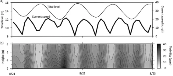 Fig. 9.　Relationship between turbidity and current speed at four levels near the basin floor in 2007.