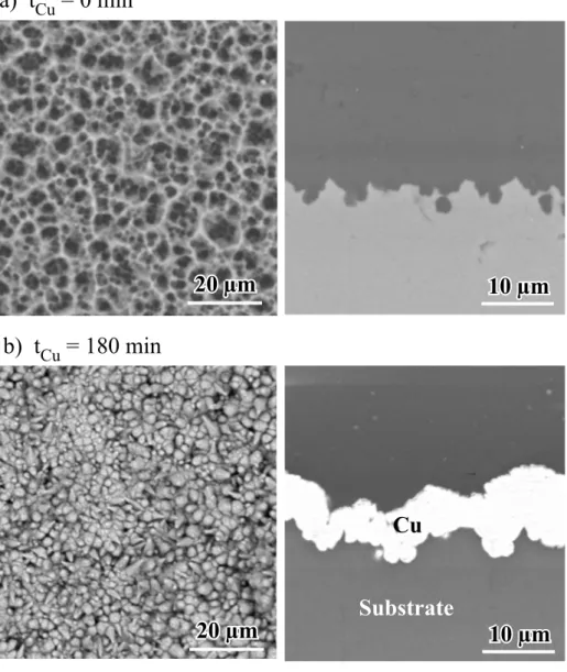Fig. 2 SEM images of the surface and vertical section of the specimen a) before and b) after Cu electroless plating