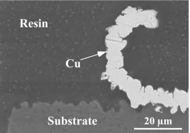 Fig. 7 SEM image of the vertical section of the laser irradiated-specimen in doubly distilled water.