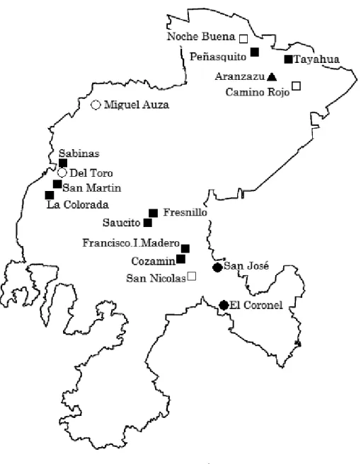 図 13  サカテカス州の鉱山・鉱業プロジェクト位置図 