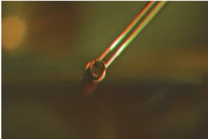 Figure 3 Appearance of cross-section of sheared nuclear fuel tube 