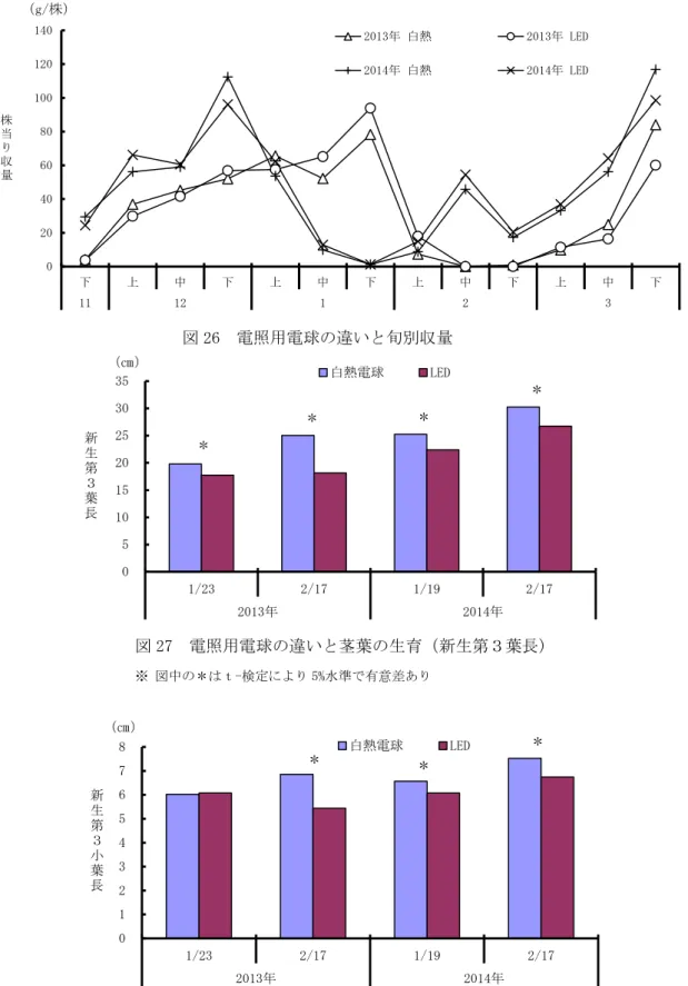 図 26  電照用電球の違いと旬別収量 020406080100120140下上中下上中下上 中 下 上 中 下1112123株当り収量2013年 白熱2013年 LED2014年 白熱2014年 LED（g/株） ※ 図中の＊はｔ-検定により 5%水準で有意差あり  図 27  電照用電球の違いと茎葉の生育（新生第３葉長） 051015202530351/232/171/192/172013年2014年新生第３葉長白熱電球LED（㎝）＊＊＊＊ 012345678 1/23 2/17 1/19 2/17 2