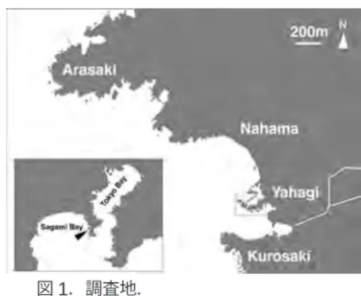 図 1 ．調査地．