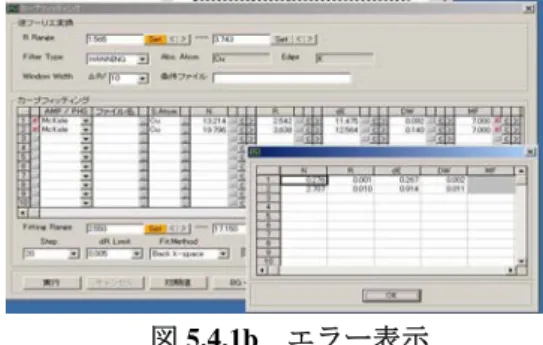 図 5.4.1b   エラー表示