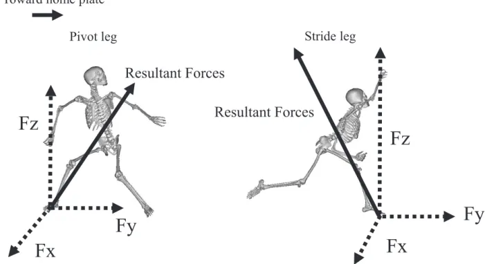 Figure 3.     Definition of three-dimensional coordinates of GRF: Y-axis, throwing direction; Z-axis, verti- verti-cal axis; X-axis, third-base direction, perpendicular to the Y- and Z-axes