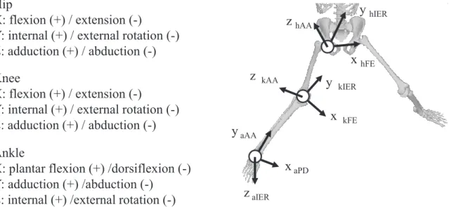 Figure 5.   Phases of pitching motion.