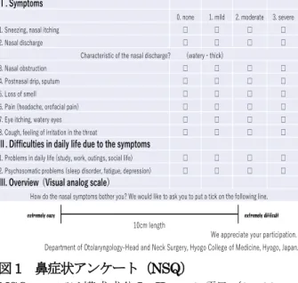 図 1  鼻症状アンケート（NSQ） 