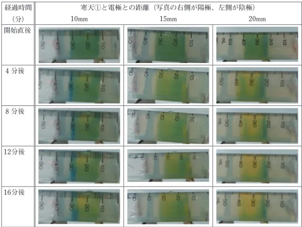 表 1 ．寒天①を20ml として、寒天①と電極との距離を変化させたときの電気分解のようす。 経過時間 （分） 寒天①と電極との距離（写真の右側が陽極、左側が陰極）10mm15mm 20mm 開始直後 4 分後 8 分後 12分後 16分後 表 2 ．寒天①を30ml として、寒天①と電極との距離を変化させたときの電気分解のようす。 経過時間 （分） 寒天①と電極との距離（写真の右側が陽極、左側が陰極）10mm15mm 20mm 開始直後 4 分後 8 分後 12分後 16分後