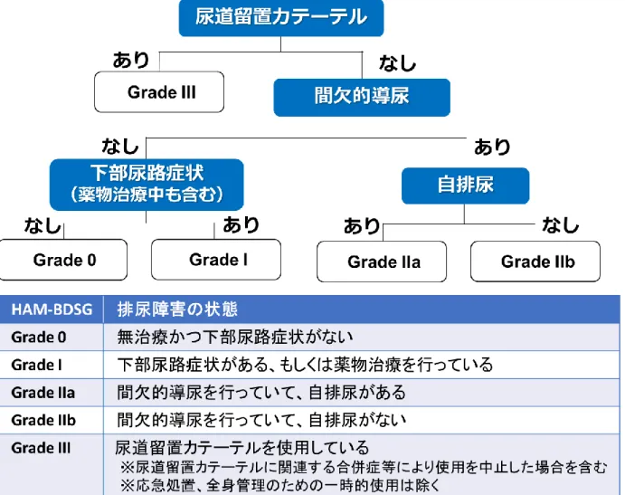 図 7：HAM 排尿障害重症度 Grade 分類（HAM-BDSG）のアルゴリズム 