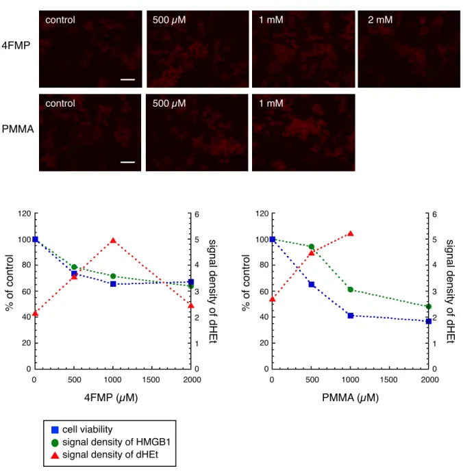 Fig. 2. Changes in superoxide production, HMGB1 release from nuclei, and cell viability in B65 cells exposed  to 4FMP or PMMA (final concentration: 0, 500 µM, 1 mM, 2 mM) for 3 hrs
