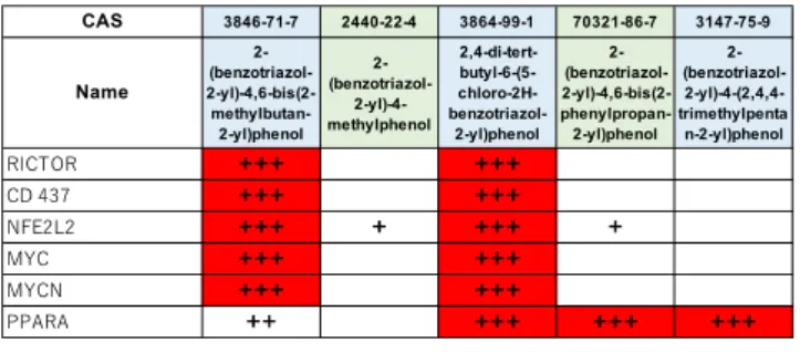 図 27 ベンゾトリアゾール類５種類のマウスへの投与によ り誘導される遺伝子群に関して、IPA 解析を行なった結 果のまとめ。  1x10-11〜1x10-20 : +  1x10-21〜1x10-30 : ++  1x10-31〜            : +++  （赤色でマーク）  D．考察  最終年度である令和２年度研究では、四塩化炭素投 与マウスを肝臓障害のモデルとして利用し、エクソソ ーム  RNA  をバイオマーカーとした次世代型毒性評 価法の標準化プロトコールの作成に成功し、 論文とし て報