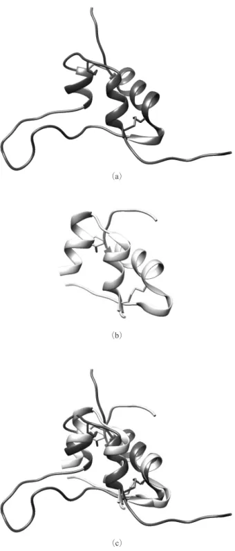 Figure 1　  （a）  Structure of IGF-1, （b）  Structure of insulin, and 