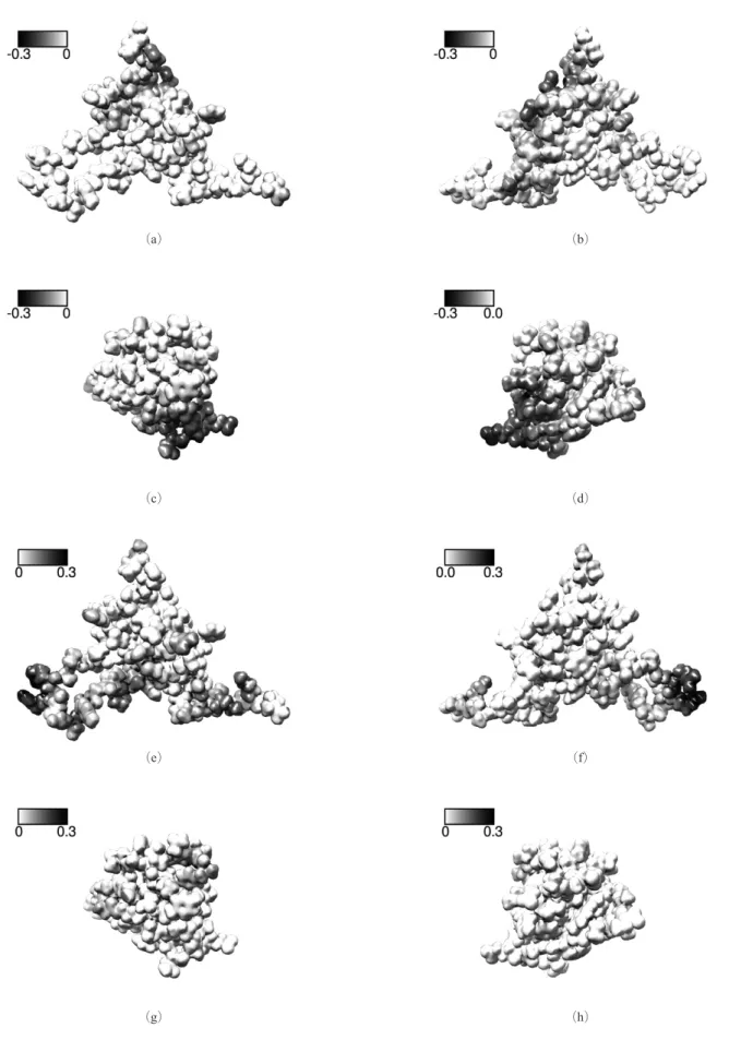 Figure 5　  Electrostatic potential distribution of IGF-1((a）, (b）, (e） and (f）） and insulin((c）, (d）, (g） and (h））
