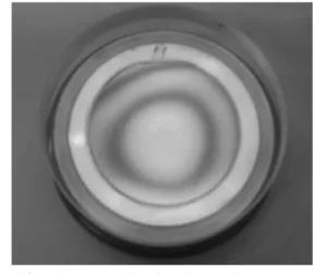 図 3   前加工された SiC 基板（ 0001 ）のオプティカルフラット像 （縞の間隔は 0.6µm の高低差に相当する）    (a)   研磨圧力   16.5kPa  （ｂ）  研磨圧力   30kPa  図 4   前加工における研磨圧力と削除率の関係 ３．UV アシスト研磨による最終仕上げ加工  ３．１  UV アシスト研磨のメカニズム  上述のように，われわれは紫外光照射による化学反応を利 用した SiC 基板の新しい加工法を提案・開発した．この研磨法 の加工原理は以下のように考えられる． 