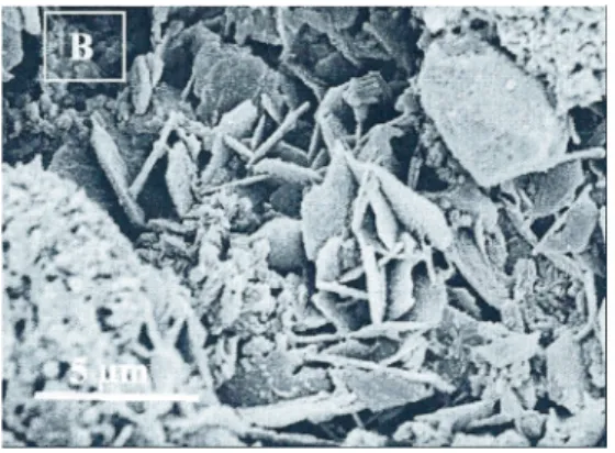 図 7: コンクリート間隙の顕微鏡写真（出典 [K2]）